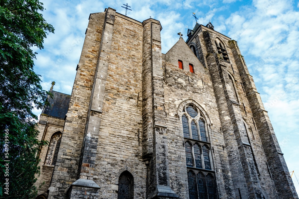 avignon